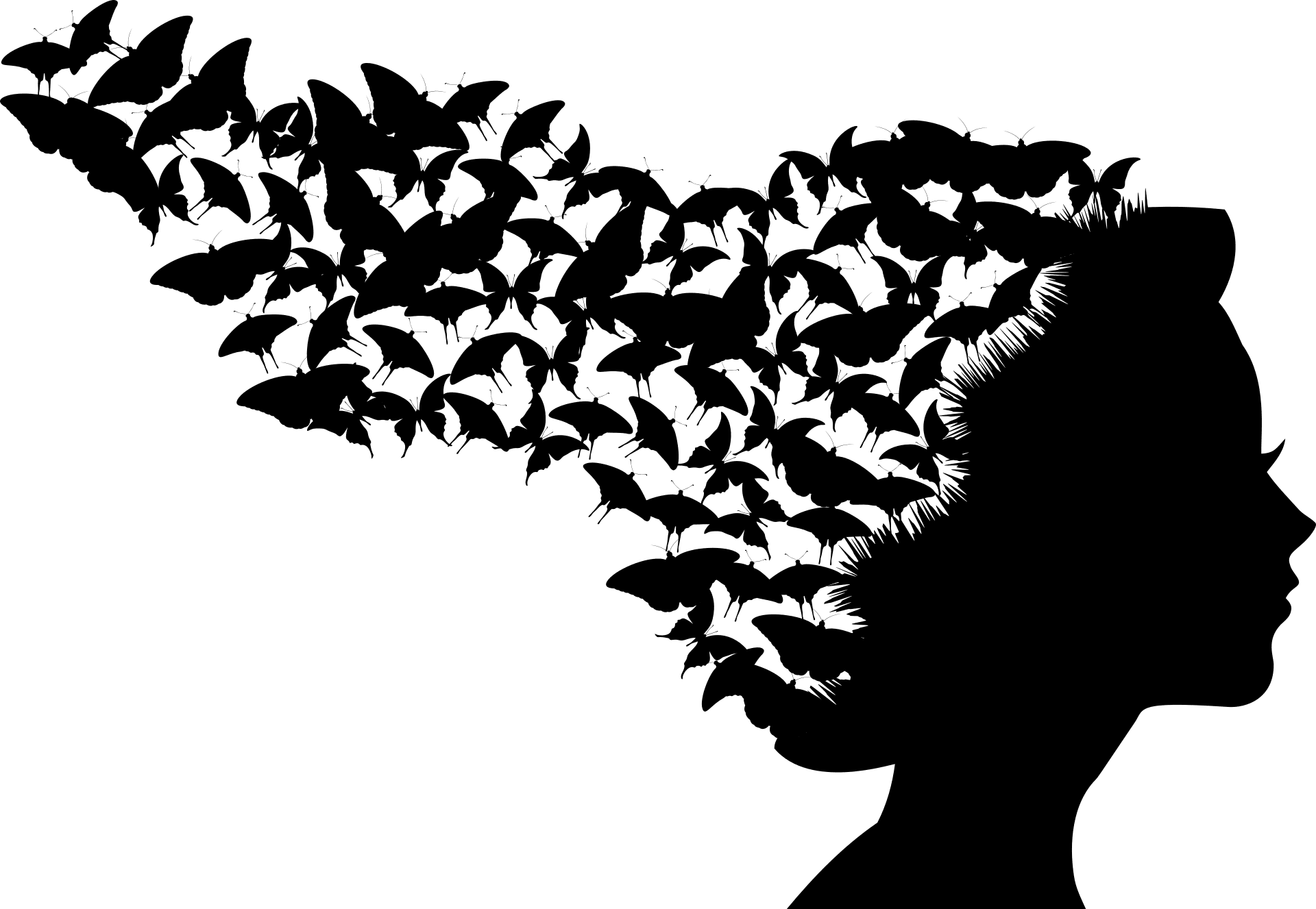 Commencez à utiliser